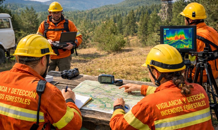 errores vigilancia forestal
