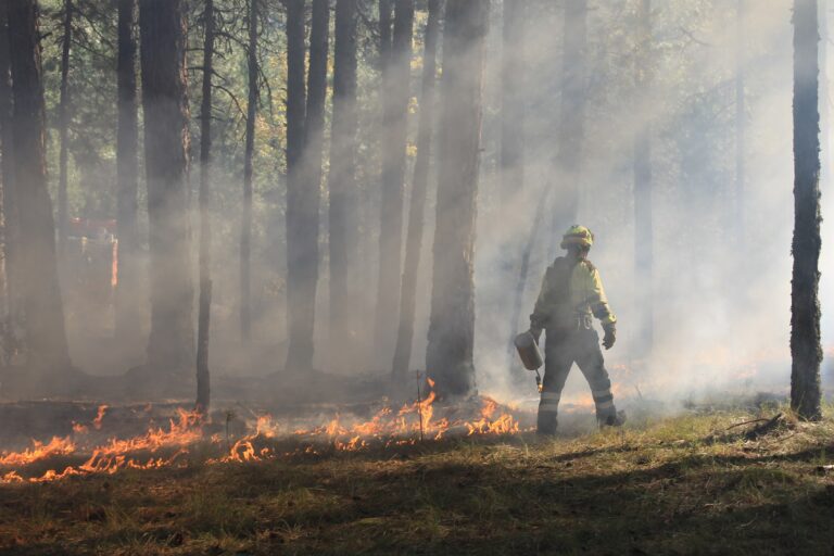 firefighter-doing-a-counterfire-cuenca-spain-2023-11-27-04-54-11-utc