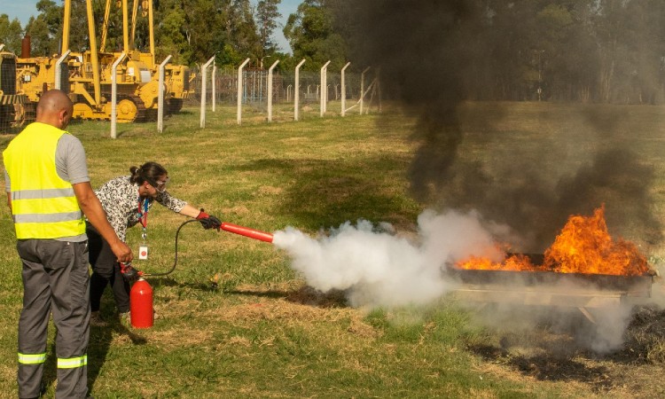 perfiles del operativo forestal
